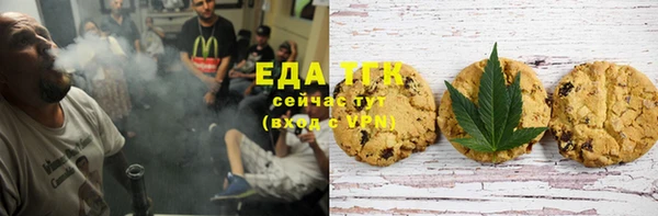 прущий лед Богданович