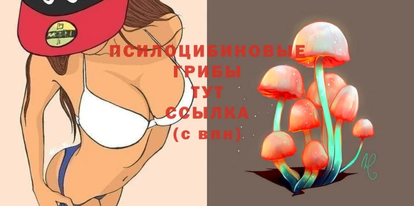 хмурый Богородск