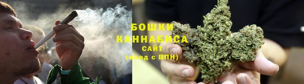 дурь Богородицк