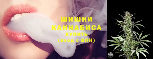 хмурый Богородск
