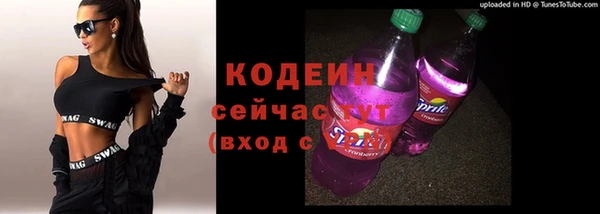 прущий лед Богданович