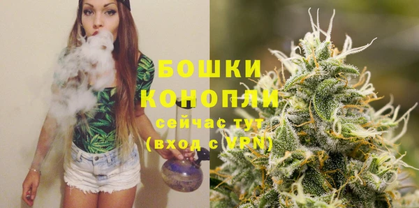 дурь Богородицк