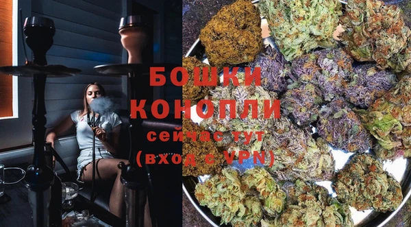 прущий лед Богданович