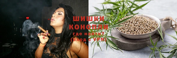 хмурый Богородск